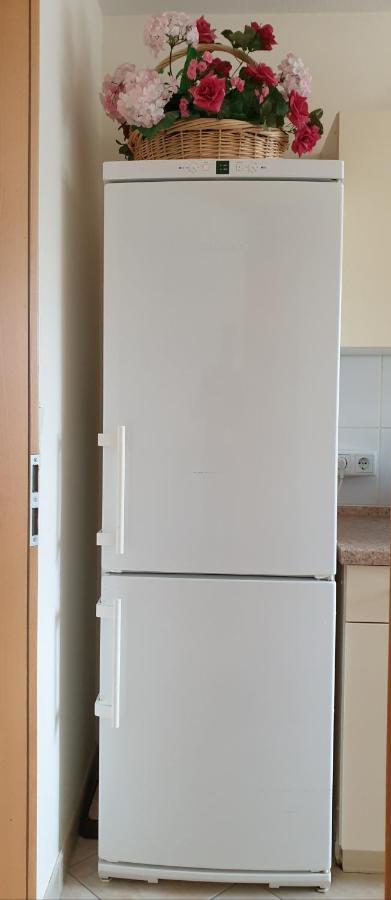 Ferienwohnung Maria - บาดคิสซินเงิน ภายนอก รูปภาพ
